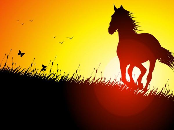 galloping-horse-at-sunset